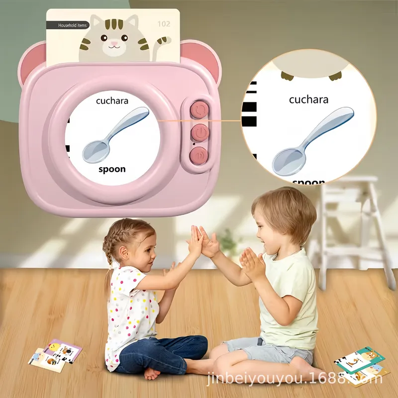 Lettore di Carte Flash per l'E - Educational Flash Card recensione e prezzo