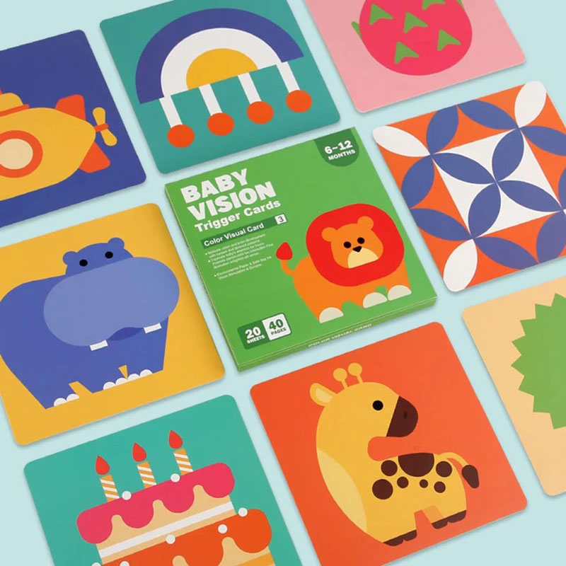 Giocattoli per l'educazione pr - Educational Flash Card recensione e prezzo